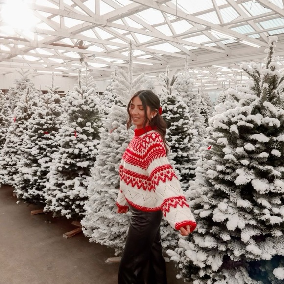 Christmas Fare Isle Zipper Red and White Large No Tags Sweater Zippy Cotton A4 - Picture 5 of 6